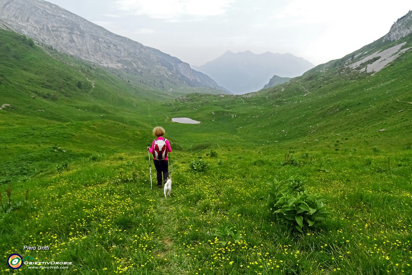 82 Sul sentiero 131 dal Passo di Val Vedra scendendo a Pian Bracca .JPG -                                